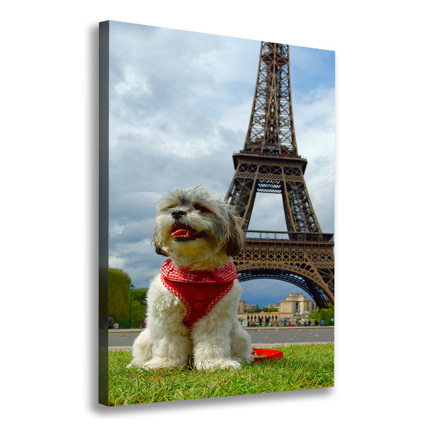Foto leinwand vertikales Ein Hund in Paris