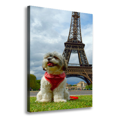 Foto leinwand vertikales Ein Hund in Paris