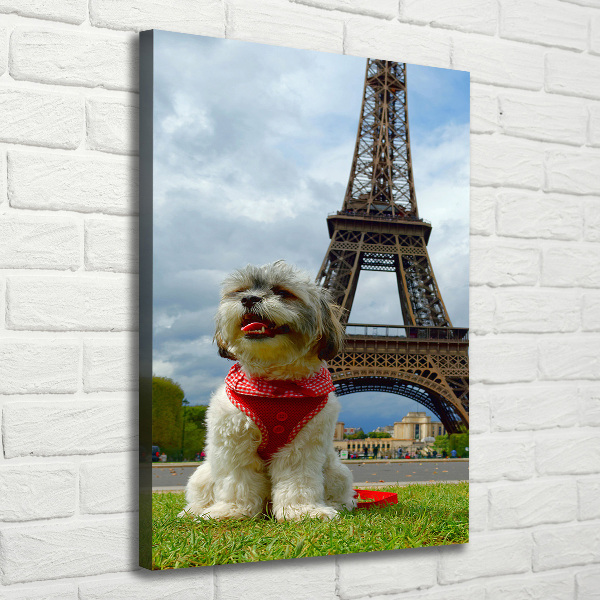 Foto leinwand vertikales Ein Hund in Paris