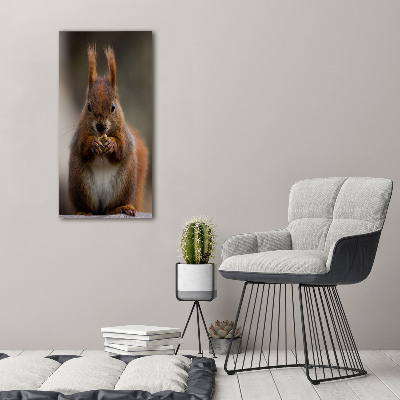 Foto leinwand vertikales Eichhörnchen