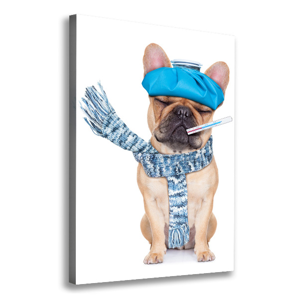 Foto leinwand vertikales Kranker Hund