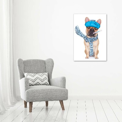 Foto leinwand vertikales Kranker Hund