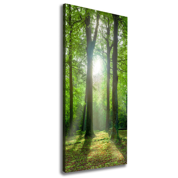 Foto leinwand vertikales Die Sonne im Wald
