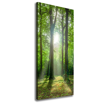 Foto leinwand vertikales Die Sonne im Wald