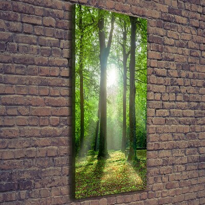 Foto leinwand vertikales Die Sonne im Wald