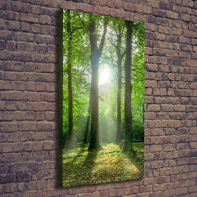 Foto leinwand vertikales Die Sonne im Wald