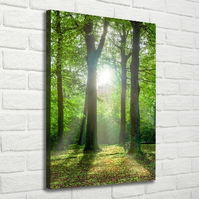 Foto leinwand vertikales Die Sonne im Wald