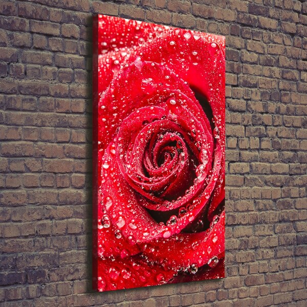 Foto auf leinwand vertikales Rote Rose