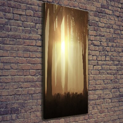 Foto leinwand vertikales Nebel im Wald