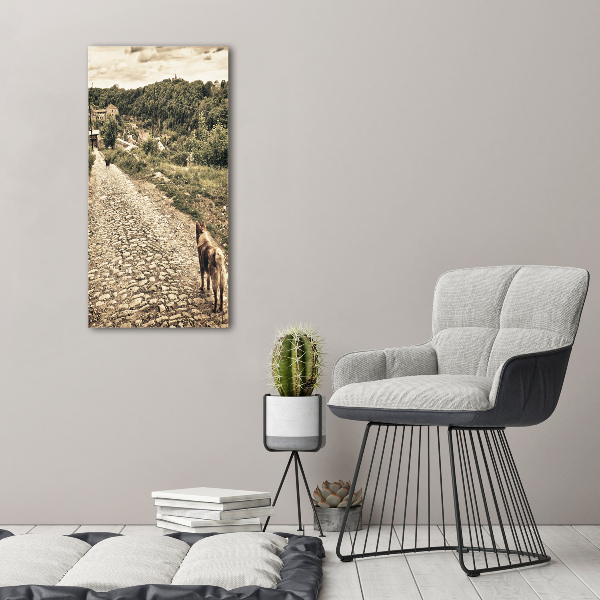 Foto auf leinwand vertikales Zwei Hunde vom Hügel