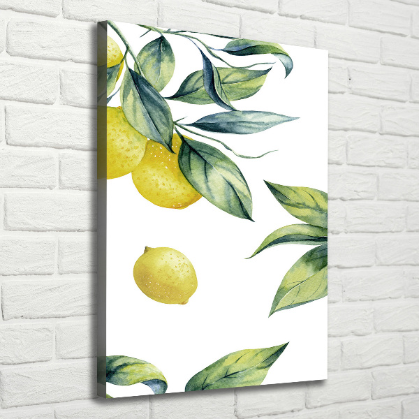 Foto auf leinwand vertikales Zitronen