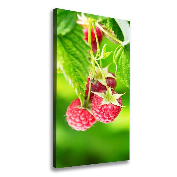 Wandbild vertikales Himbeeren am Strauch