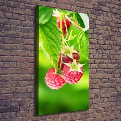 Wandbild vertikales Himbeeren am Strauch
