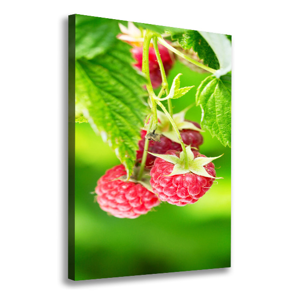 Wandbild vertikales Himbeeren am Strauch