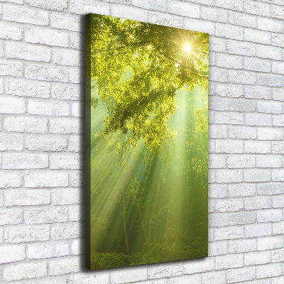 Foto auf leinwand vertikales Die Sonne im Wald