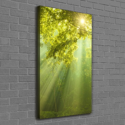 Foto auf leinwand vertikales Die Sonne im Wald