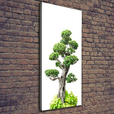 Foto leinwand vertikales Bonsai-Baum