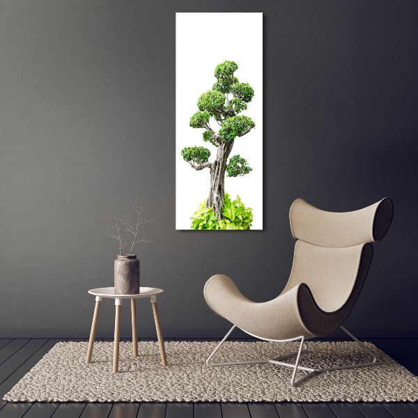 Foto leinwand vertikales Bonsai-Baum