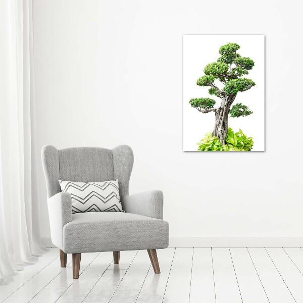Foto leinwand vertikales Bonsai-Baum