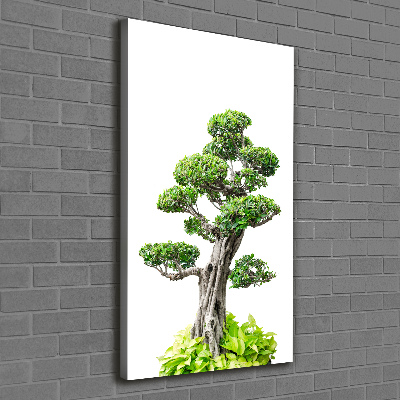 Foto leinwand vertikales Bonsai-Baum
