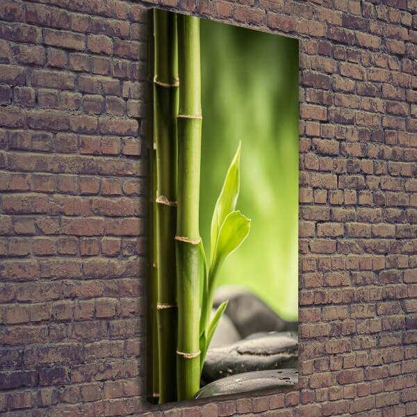 Foto auf leinwand vertikales Bambus