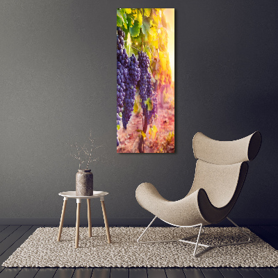 Foto leinwand vertikales Weinberg