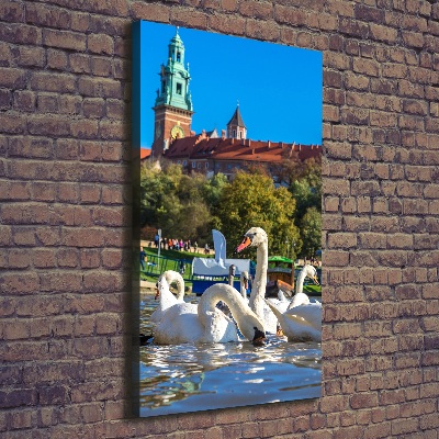 Foto auf leinwand vertikales Krakau, Polen
