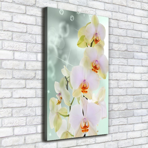 Wandbild vertikales Orchidee