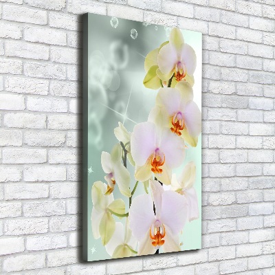 Wandbild vertikales Orchidee