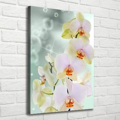 Wandbild vertikales Orchidee