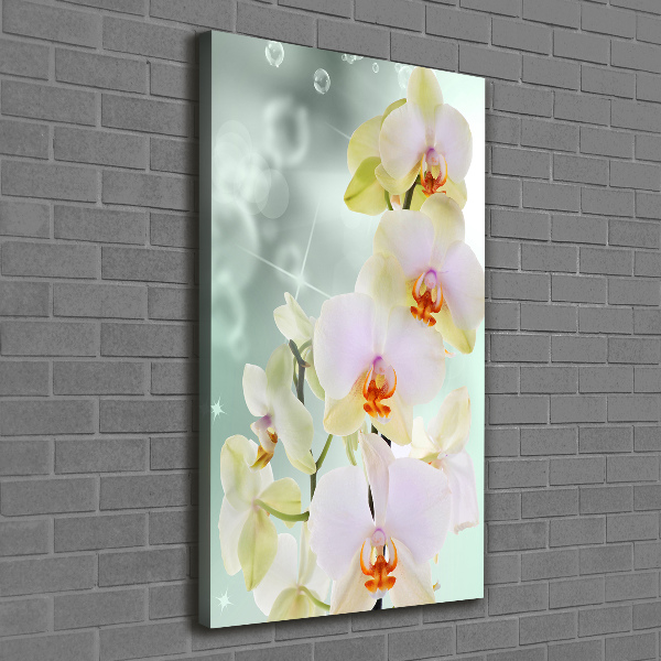Wandbild vertikales Orchidee