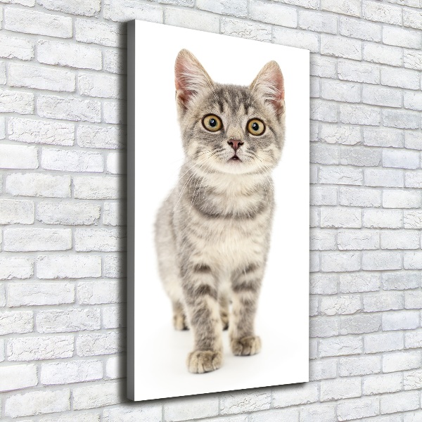 Foto leinwand vertikales Graue Katze