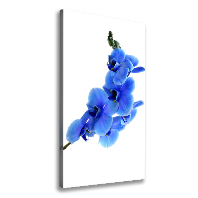 Foto leinwand vertikales Blaue Orchidee