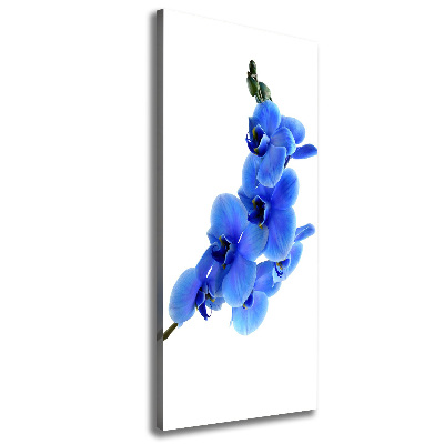 Foto leinwand vertikales Blaue Orchidee