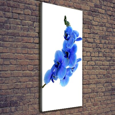 Foto leinwand vertikales Blaue Orchidee