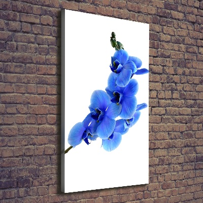 Foto leinwand vertikales Blaue Orchidee
