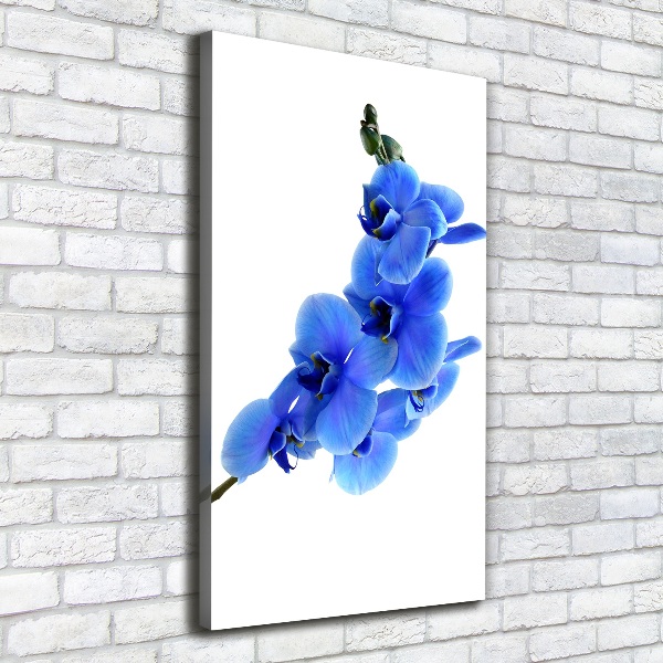 Foto leinwand vertikales Blaue Orchidee