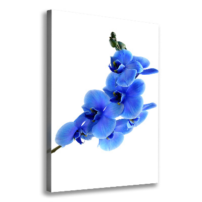 Foto leinwand vertikales Blaue Orchidee