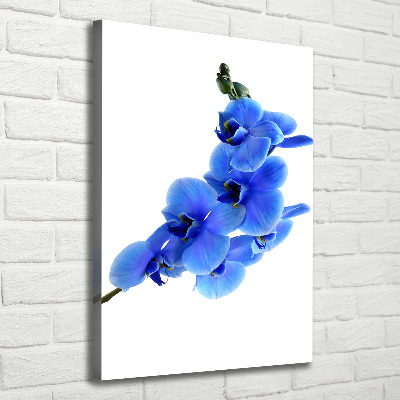 Foto leinwand vertikales Blaue Orchidee