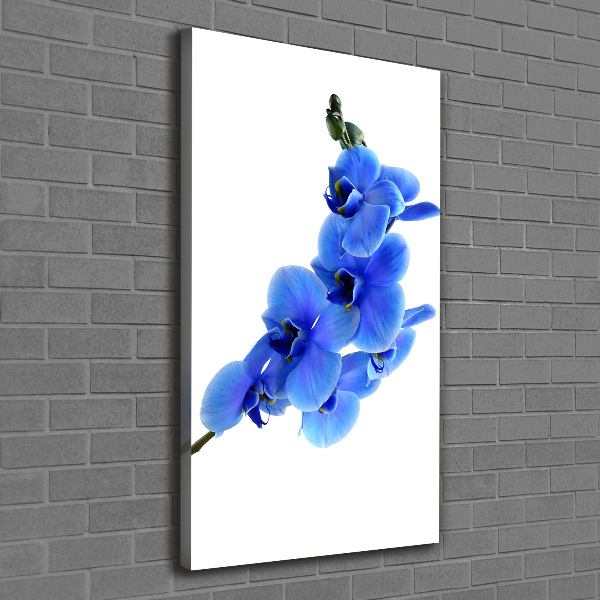 Foto leinwand vertikales Blaue Orchidee