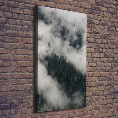 Foto auf leinwand vertikales Eine Wolke über dem Wald