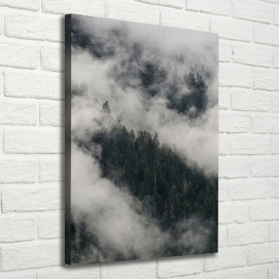 Foto auf leinwand vertikales Eine Wolke über dem Wald