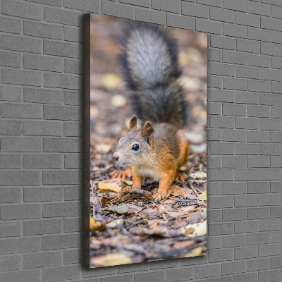 Foto auf leinwand vertikales Eichhörnchen im Wald