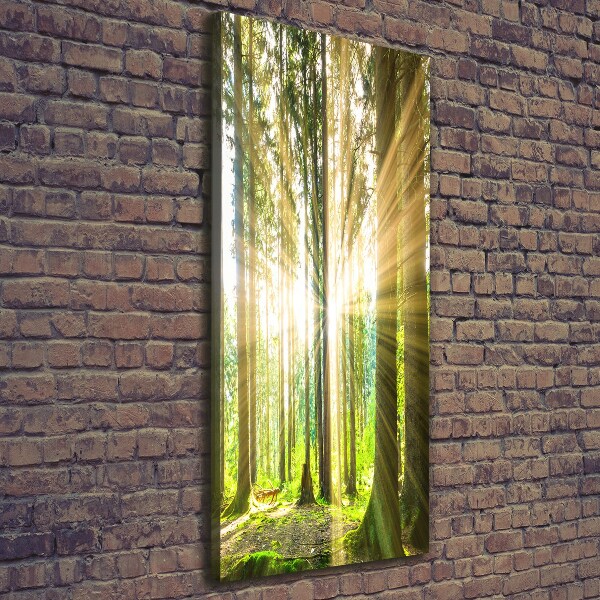 Foto leinwand vertikales Die Sonne im Wald