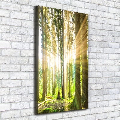 Foto leinwand vertikales Die Sonne im Wald