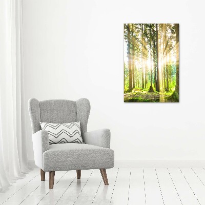 Foto leinwand vertikales Die Sonne im Wald