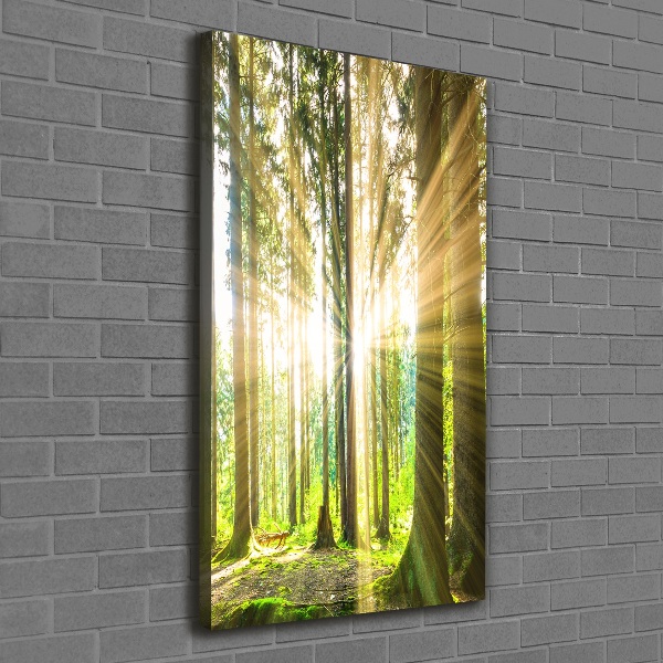 Foto leinwand vertikales Die Sonne im Wald