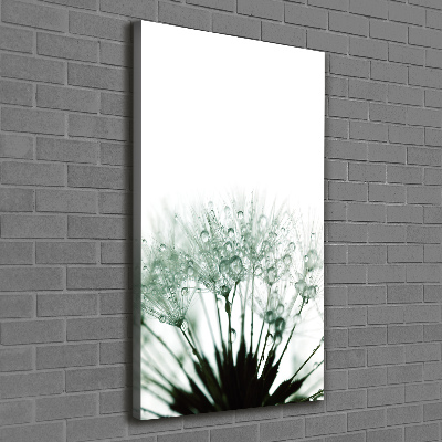 Foto auf leinwand vertikales Löwenzahnsamen