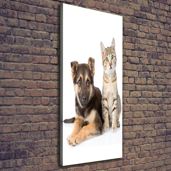 Foto leinwand vertikales Hund und Katze