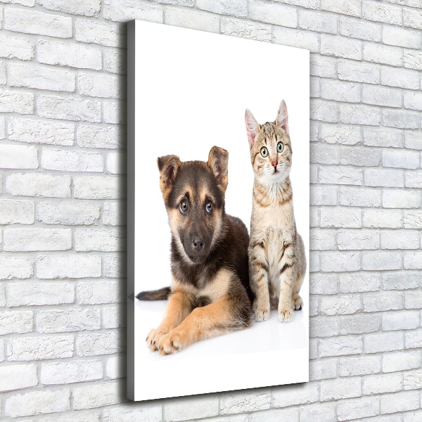 Foto leinwand vertikales Hund und Katze